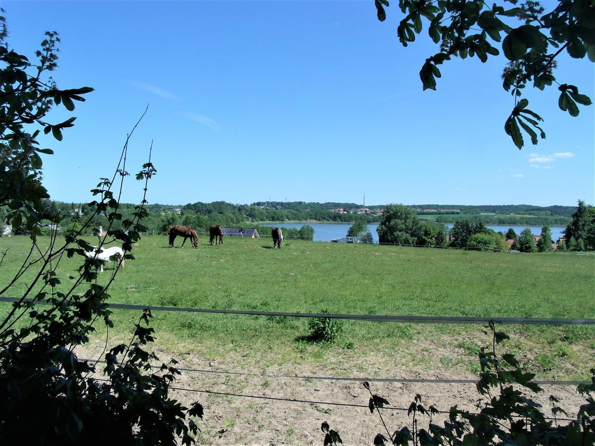 Hotel Bergmuehle Heringsdorf  Exteriör bild